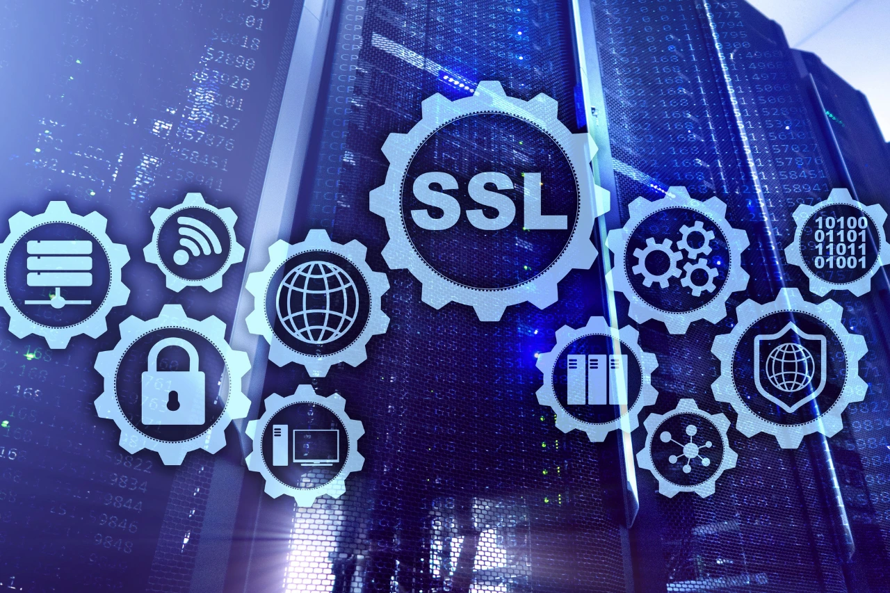 Banner page of Hosting & Domain Service Page